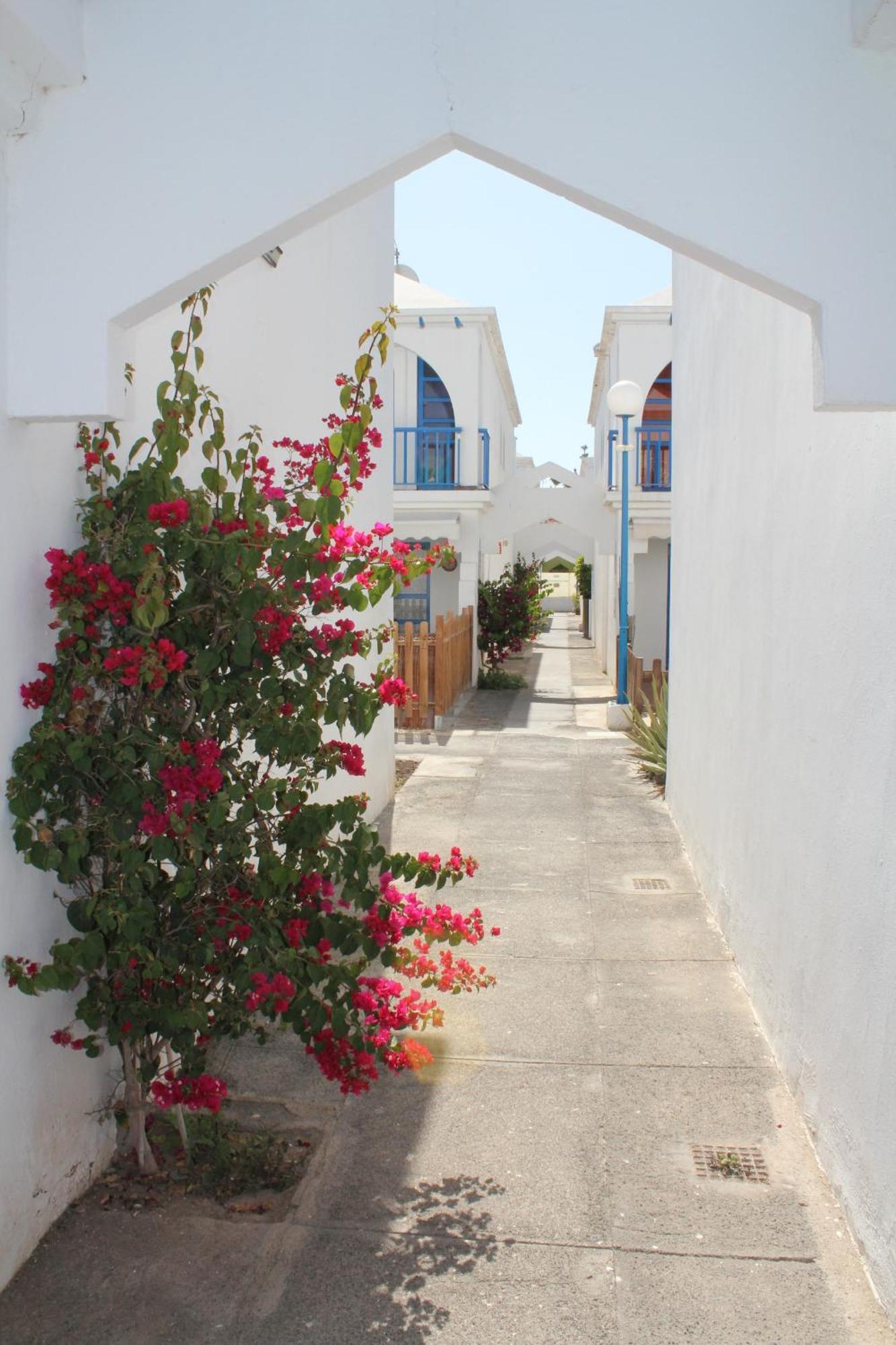 Appartement Playmar Bung 167 à Maspalomas  Extérieur photo
